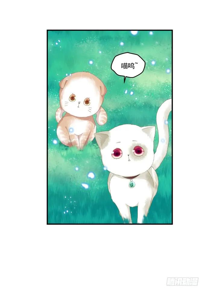 《猫妖的诱惑》漫画最新章节乔装潜入免费下拉式在线观看章节第【19】张图片