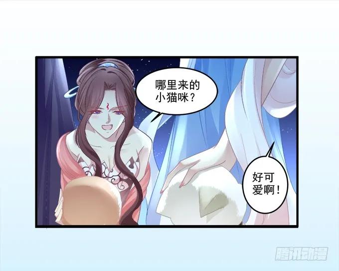 《猫妖的诱惑》漫画最新章节乔装潜入免费下拉式在线观看章节第【20】张图片