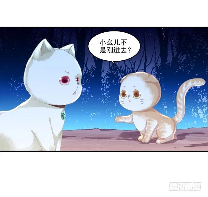 《猫妖的诱惑》漫画最新章节乔装潜入免费下拉式在线观看章节第【27】张图片