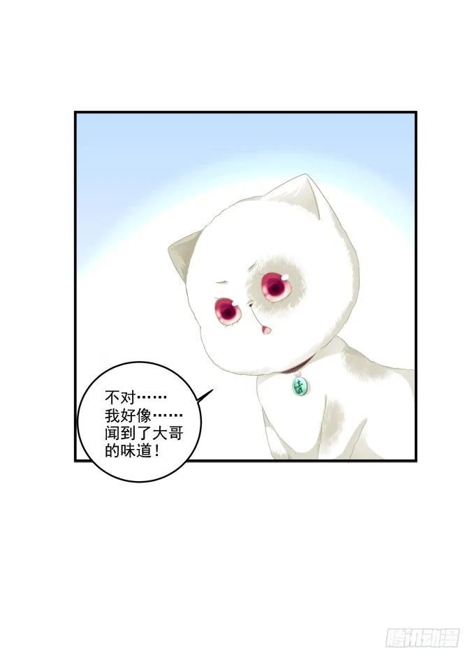 《猫妖的诱惑》漫画最新章节乔装潜入免费下拉式在线观看章节第【28】张图片