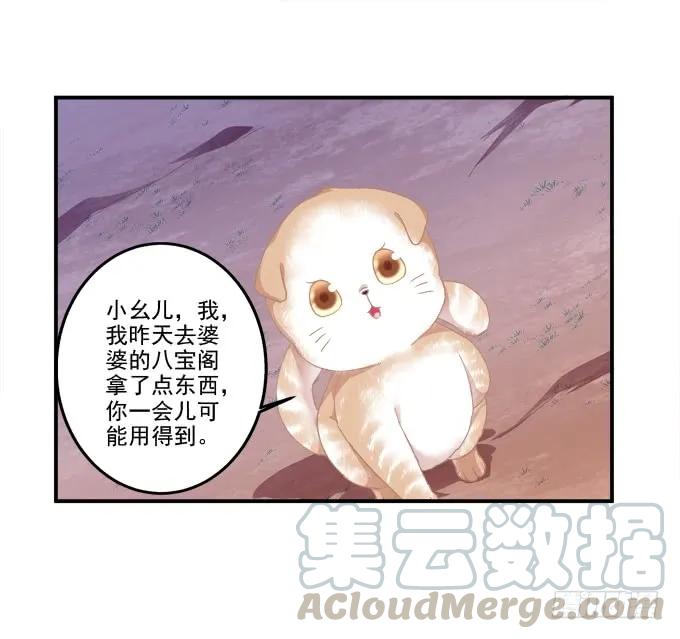 《猫妖的诱惑》漫画最新章节乔装潜入免费下拉式在线观看章节第【9】张图片