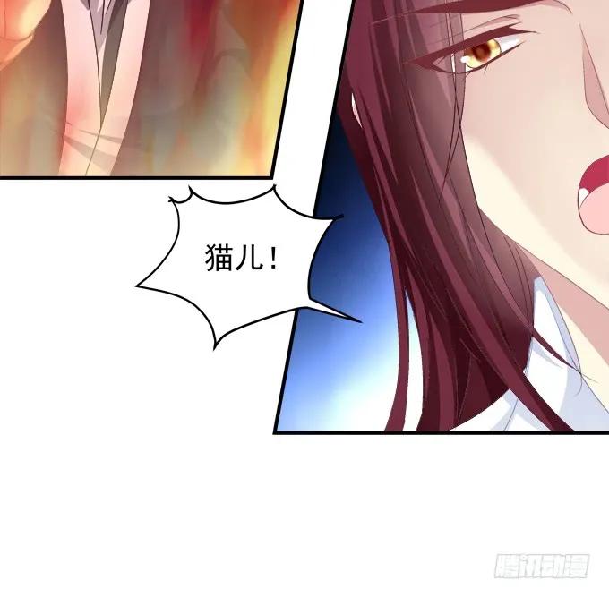 《猫妖的诱惑》漫画最新章节宁折不弯免费下拉式在线观看章节第【16】张图片