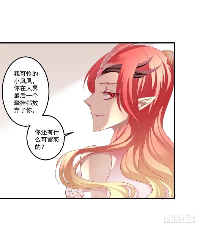 《猫妖的诱惑》漫画最新章节浴火重生免费下拉式在线观看章节第【28】张图片