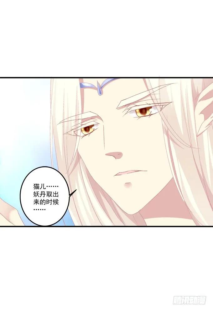 《猫妖的诱惑》漫画最新章节弥留之际免费下拉式在线观看章节第【52】张图片