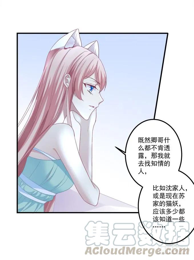 《猫妖的诱惑》漫画最新章节情敌见面免费下拉式在线观看章节第【21】张图片