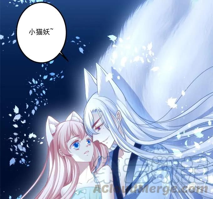 《猫妖的诱惑》漫画最新章节情敌见面免费下拉式在线观看章节第【49】张图片