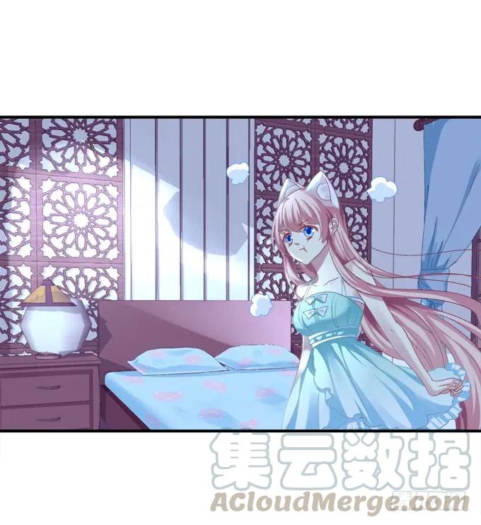 《猫妖的诱惑》漫画最新章节又二选一免费下拉式在线观看章节第【41】张图片