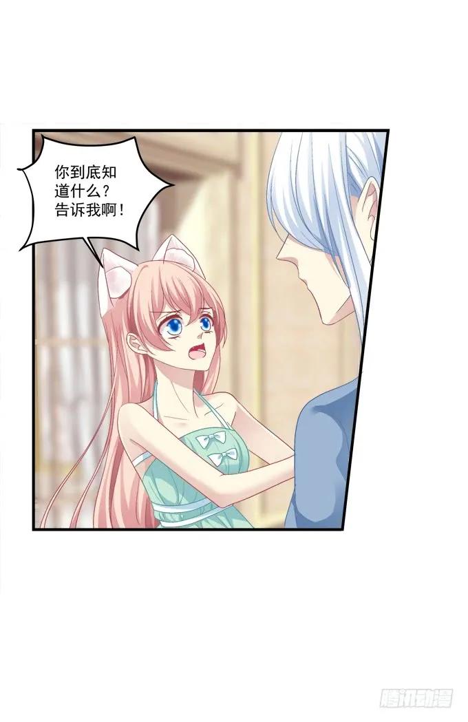 《猫妖的诱惑》漫画最新章节无可取代免费下拉式在线观看章节第【28】张图片