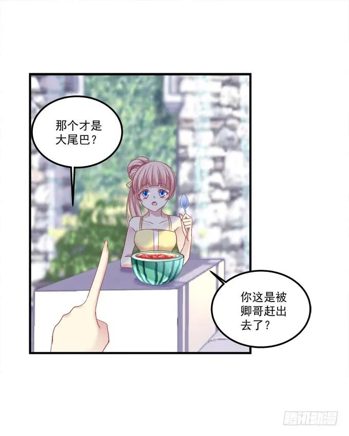 《猫妖的诱惑》漫画最新章节离家出走免费下拉式在线观看章节第【26】张图片