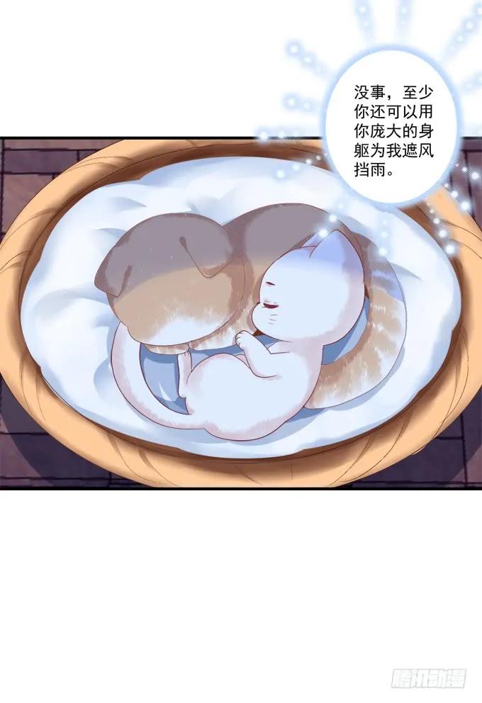 《猫妖的诱惑》漫画最新章节流落街头免费下拉式在线观看章节第【31】张图片