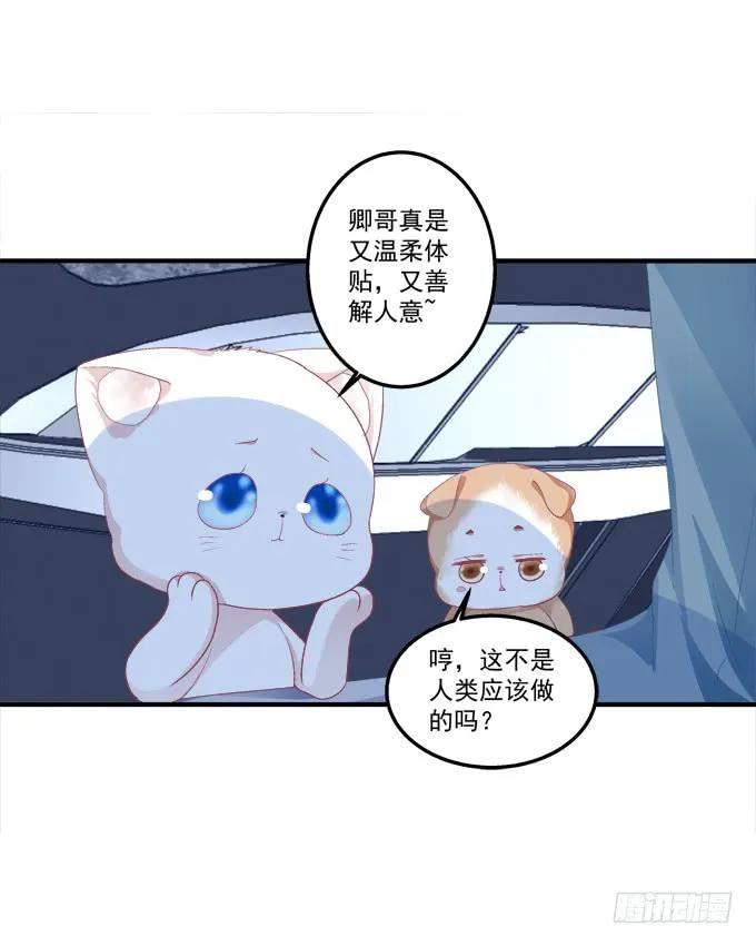 《猫妖的诱惑》漫画最新章节反复欺骗免费下拉式在线观看章节第【23】张图片