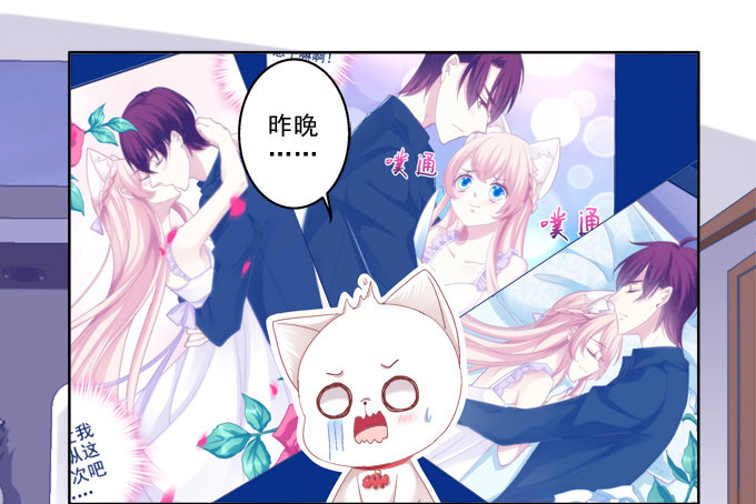 《猫妖的诱惑》漫画最新章节这是要入洞房吗？免费下拉式在线观看章节第【26】张图片