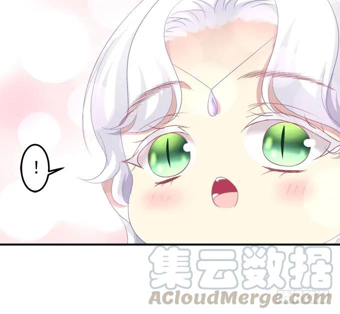 《猫妖的诱惑》漫画最新章节黑白劫八免费下拉式在线观看章节第【49】张图片