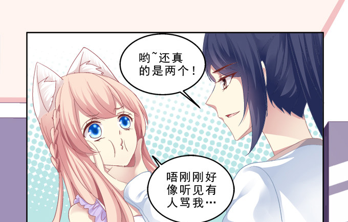 《猫妖的诱惑》漫画最新章节甜蜜约会？免费下拉式在线观看章节第【5】张图片