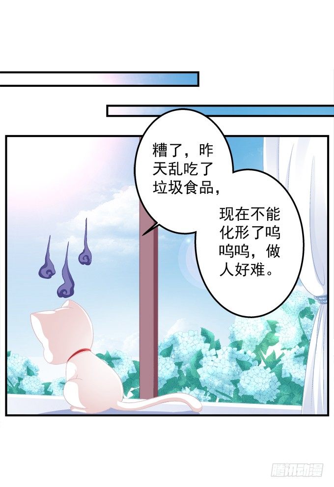 《猫妖的诱惑》漫画最新章节番外·美图秀秀免费下拉式在线观看章节第【1】张图片