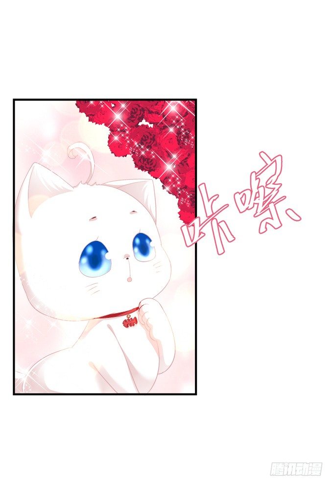 《猫妖的诱惑》漫画最新章节番外·美图秀秀免费下拉式在线观看章节第【20】张图片