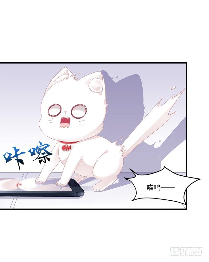 《猫妖的诱惑》漫画最新章节番外·美图秀秀免费下拉式在线观看章节第【23】张图片