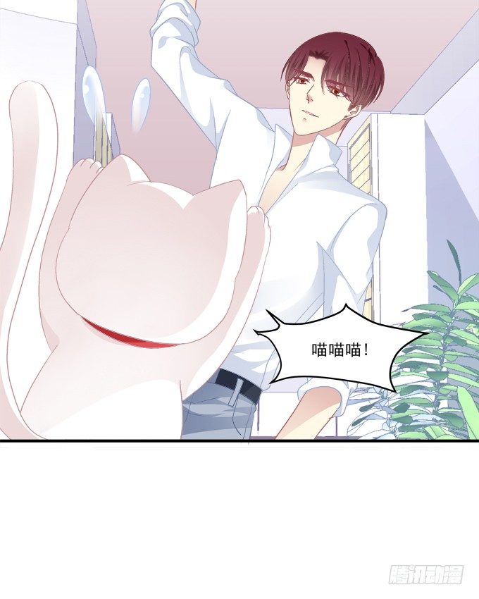 《猫妖的诱惑》漫画最新章节番外·美图秀秀免费下拉式在线观看章节第【26】张图片