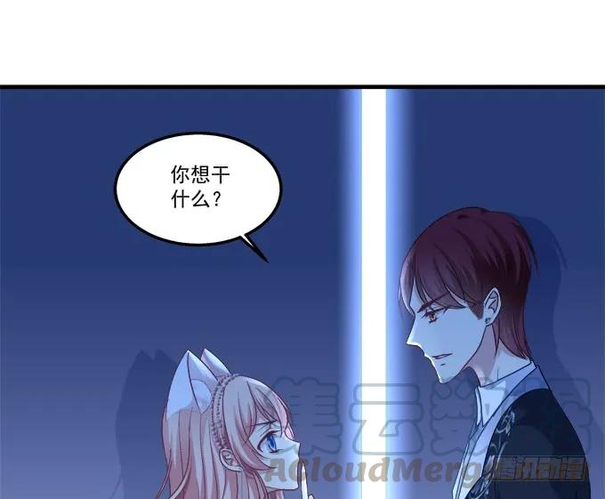 《猫妖的诱惑》漫画最新章节黑白劫十七免费下拉式在线观看章节第【17】张图片