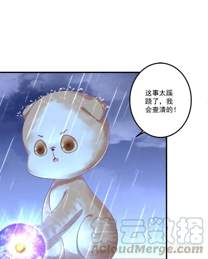 《猫妖的诱惑》漫画最新章节黑白劫二十六免费下拉式在线观看章节第【13】张图片