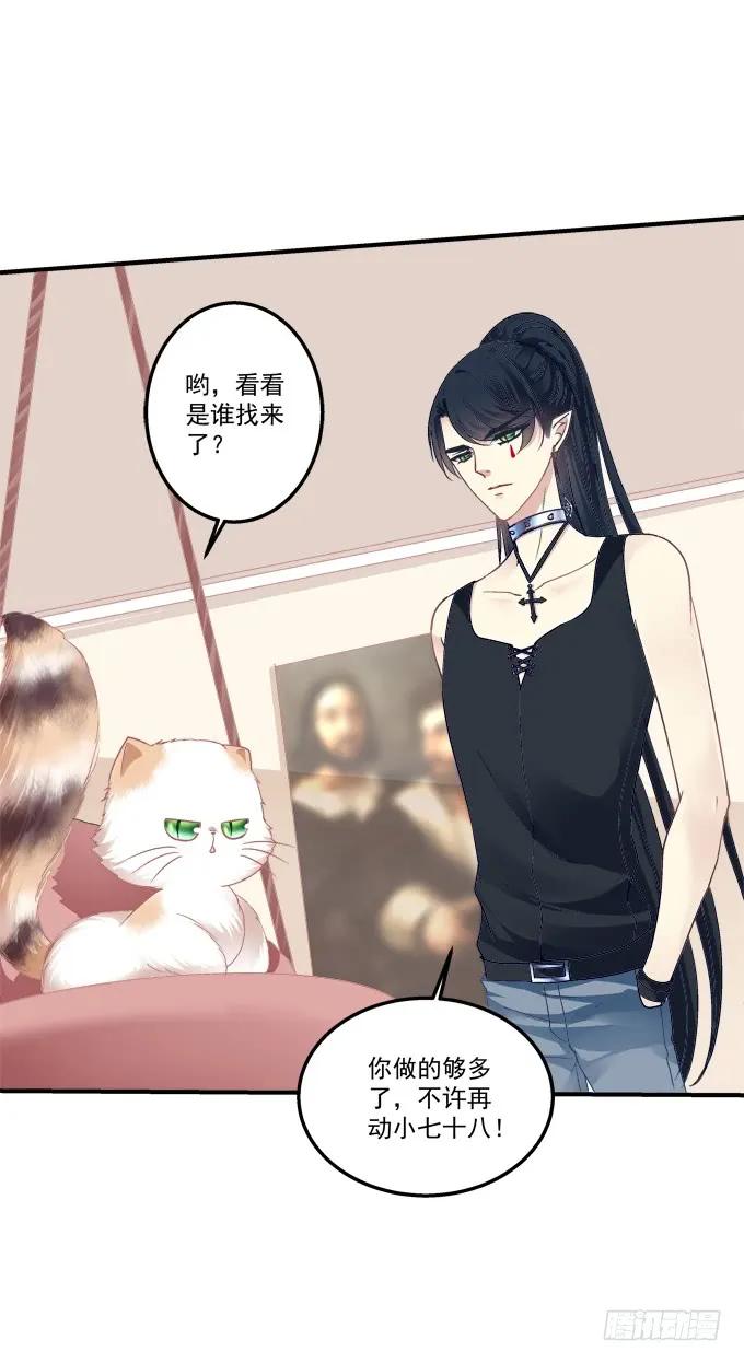 《猫妖的诱惑》漫画最新章节黑白劫三十免费下拉式在线观看章节第【29】张图片