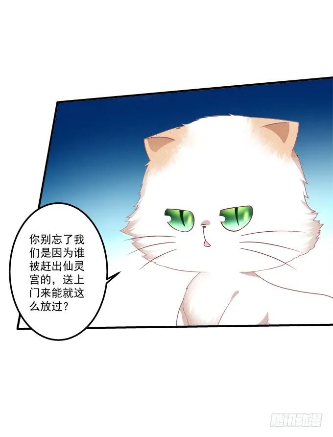 《猫妖的诱惑》漫画最新章节黑白劫三十免费下拉式在线观看章节第【30】张图片