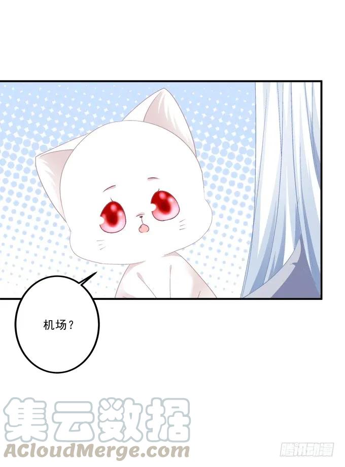 《猫妖的诱惑》漫画最新章节凤凰冢二免费下拉式在线观看章节第【13】张图片