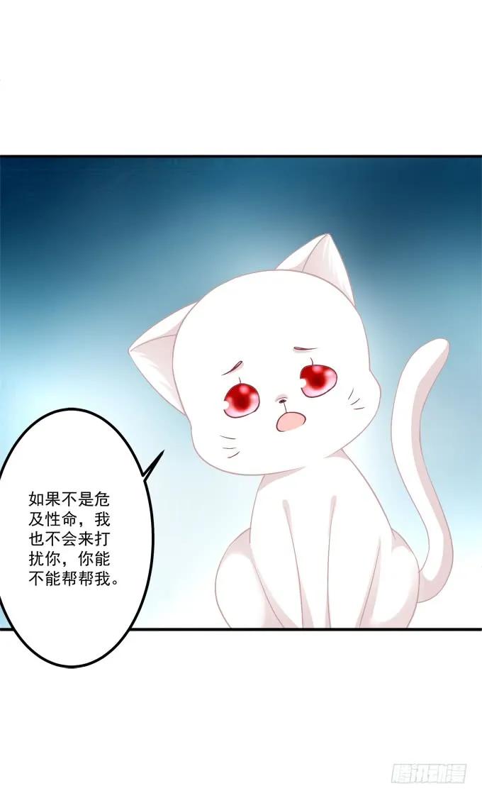 《猫妖的诱惑》漫画最新章节凤凰冢二免费下拉式在线观看章节第【34】张图片