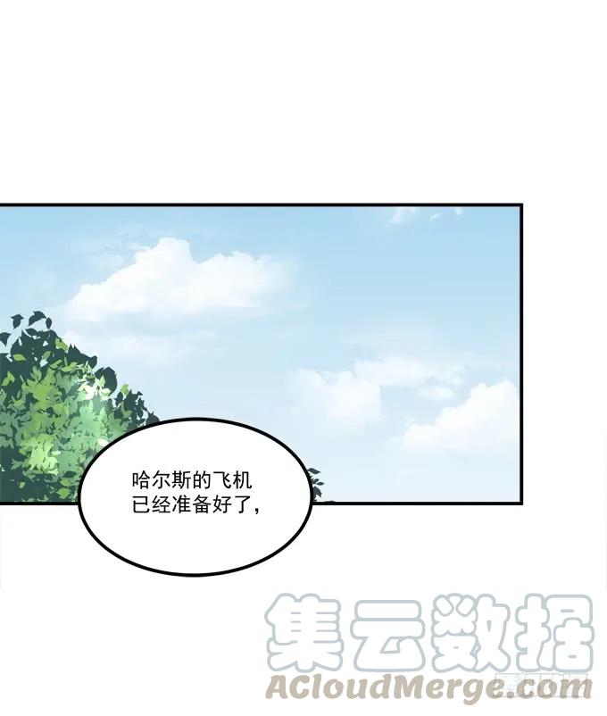 《猫妖的诱惑》漫画最新章节凤凰冢五免费下拉式在线观看章节第【5】张图片