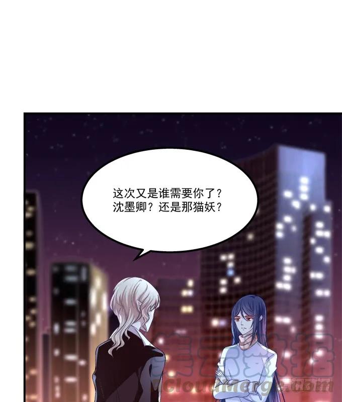 《猫妖的诱惑》漫画最新章节凤凰冢六免费下拉式在线观看章节第【17】张图片