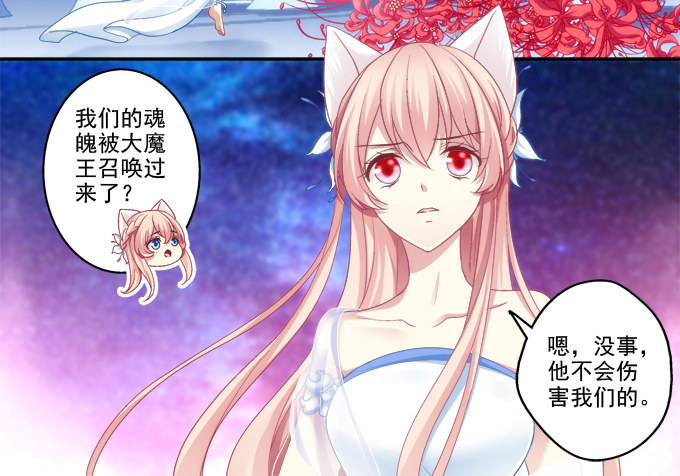 《猫妖的诱惑》漫画最新章节妖王殿免费下拉式在线观看章节第【14】张图片