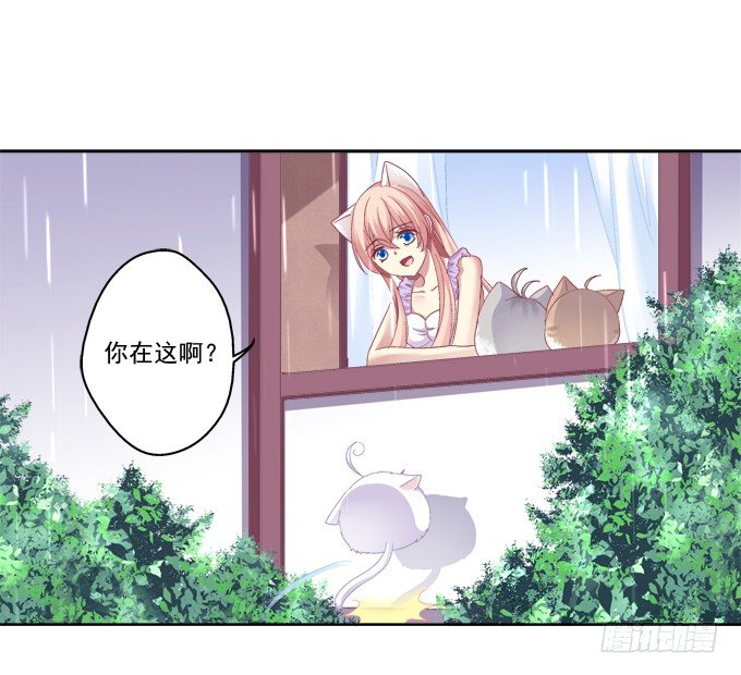 《猫妖的诱惑》漫画最新章节卿哥的裸照？免费下拉式在线观看章节第【18】张图片