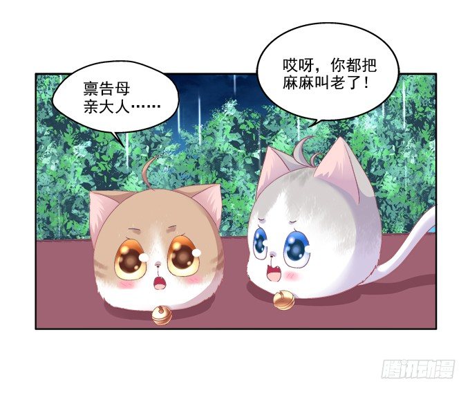 《猫妖的诱惑》漫画最新章节卿哥的裸照？免费下拉式在线观看章节第【20】张图片