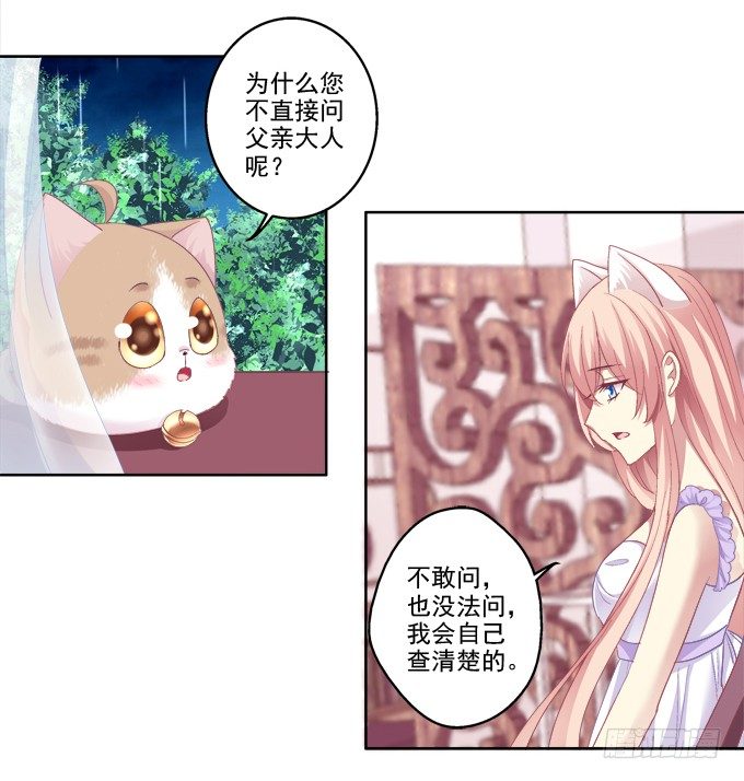 《猫妖的诱惑》漫画最新章节卿哥的裸照？免费下拉式在线观看章节第【26】张图片