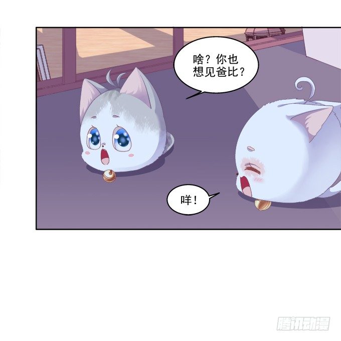 《猫妖的诱惑》漫画最新章节卿哥的裸照？免费下拉式在线观看章节第【30】张图片