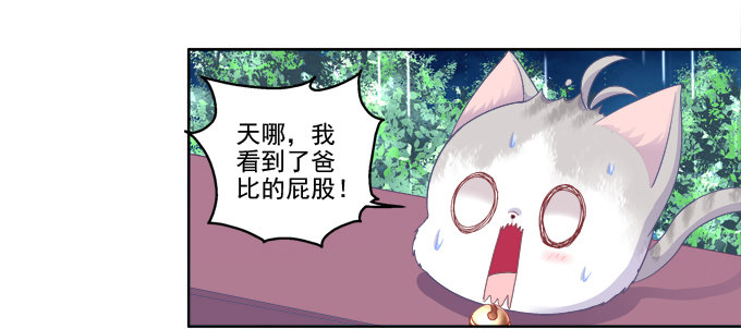 《猫妖的诱惑》漫画最新章节卿哥的裸照？免费下拉式在线观看章节第【35】张图片