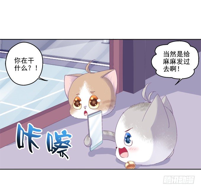 《猫妖的诱惑》漫画最新章节卿哥的裸照？免费下拉式在线观看章节第【36】张图片