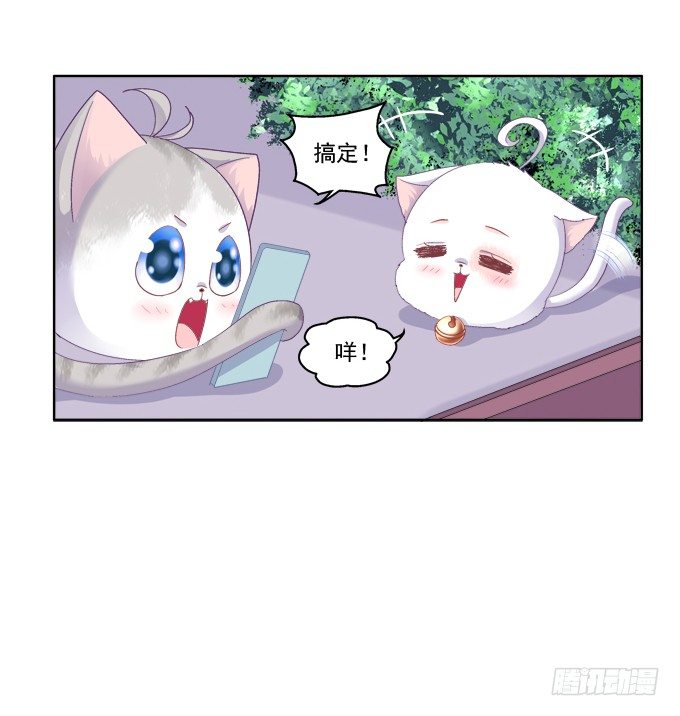 《猫妖的诱惑》漫画最新章节卿哥的裸照？免费下拉式在线观看章节第【37】张图片