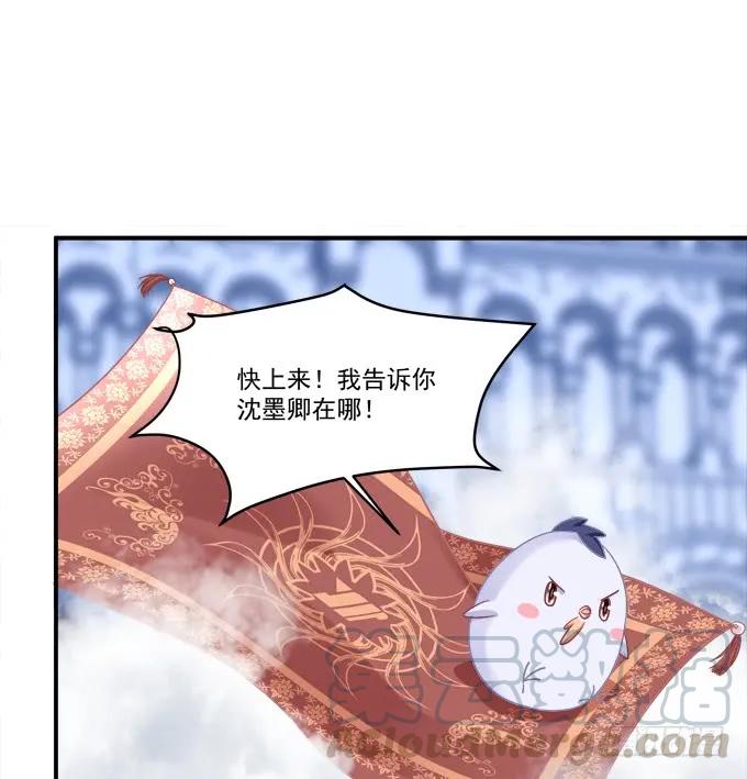 《猫妖的诱惑》漫画最新章节凤凰冢十三免费下拉式在线观看章节第【13】张图片