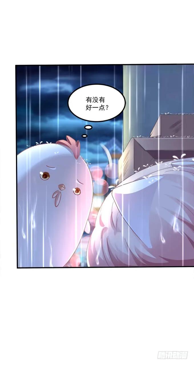 《猫妖的诱惑》漫画最新章节凤凰冢十四免费下拉式在线观看章节第【27】张图片