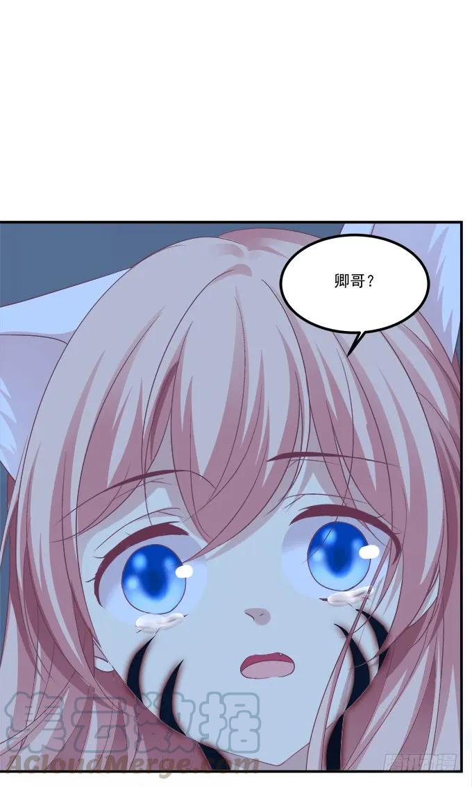 《猫妖的诱惑》漫画最新章节凤凰冢十四免费下拉式在线观看章节第【53】张图片