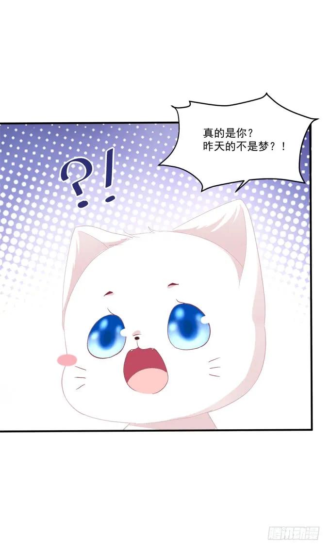 《猫妖的诱惑》漫画最新章节凤凰冢十五免费下拉式在线观看章节第【39】张图片