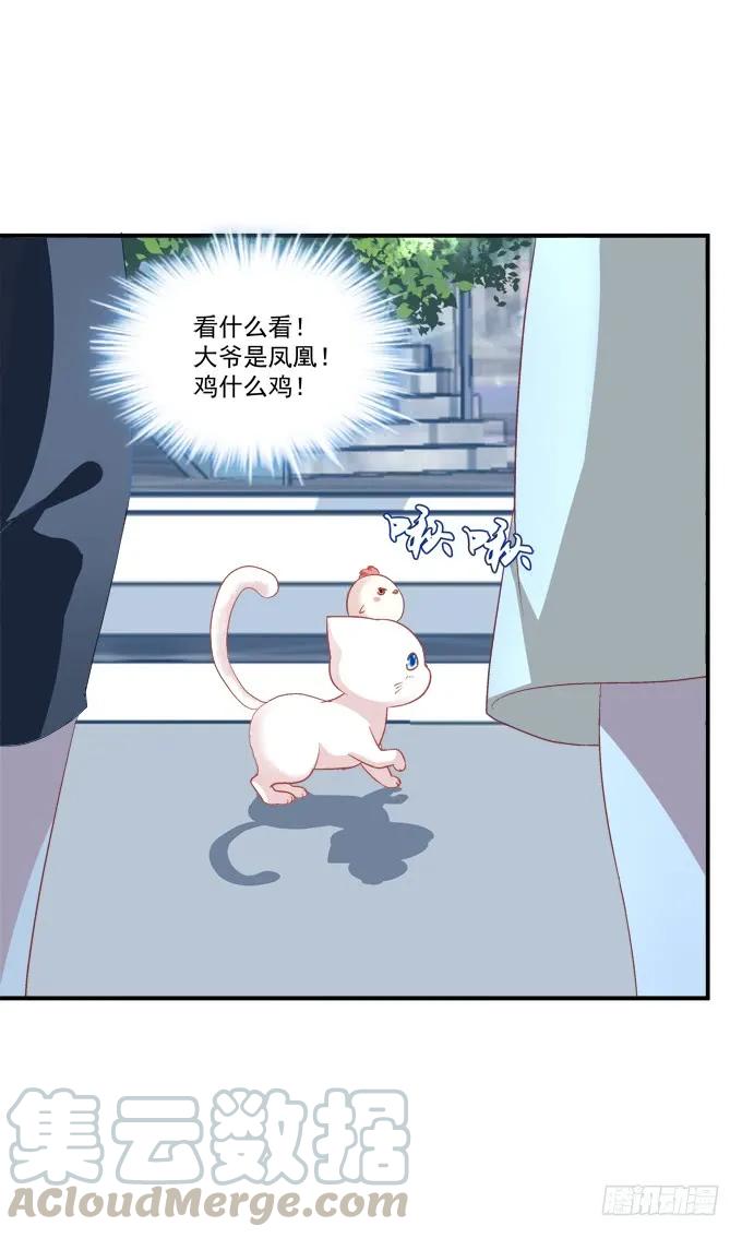 《猫妖的诱惑》漫画最新章节凤凰冢十五免费下拉式在线观看章节第【45】张图片