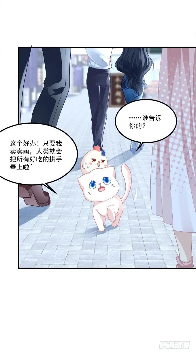 《猫妖的诱惑》漫画最新章节凤凰冢十五免费下拉式在线观看章节第【50】张图片