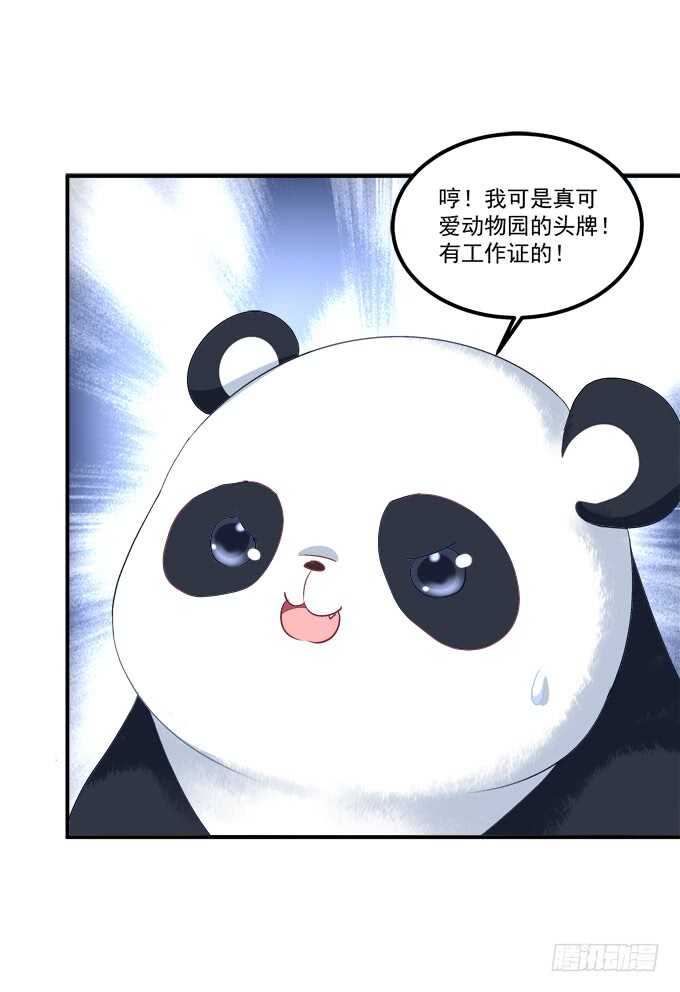 《猫妖的诱惑》漫画最新章节凤凰冢十七免费下拉式在线观看章节第【36】张图片