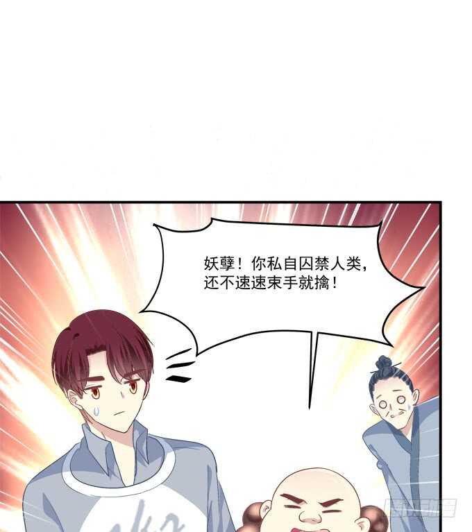 《猫妖的诱惑》漫画最新章节深情滚滚，在线求收养免费下拉式在线观看章节第【36】张图片