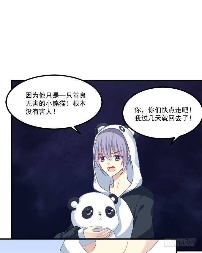 《猫妖的诱惑》漫画最新章节深情滚滚，在线求收养免费下拉式在线观看章节第【48】张图片