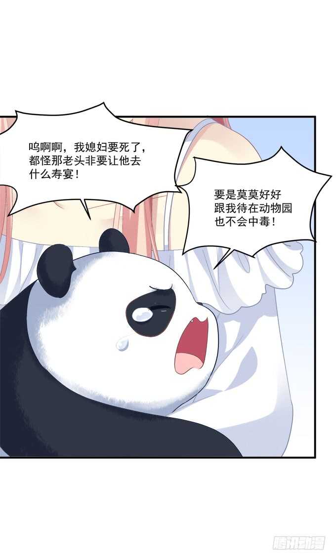 《猫妖的诱惑》漫画最新章节我不会让你死在我面前免费下拉式在线观看章节第【49】张图片