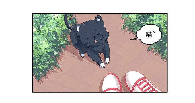 《猫妖的诱惑》漫画最新章节卿哥脸红了？免费下拉式在线观看章节第【23】张图片