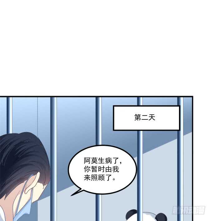 《猫妖的诱惑》漫画最新章节让我饲养你！免费下拉式在线观看章节第【38】张图片